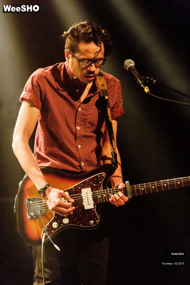 2/34 photos du spectacle Radio Elvis