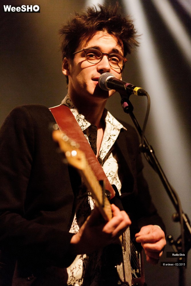 3/34 photos du spectacle Radio Elvis