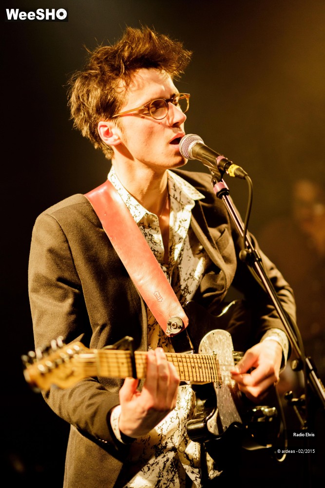 4/34 photos du spectacle Radio Elvis