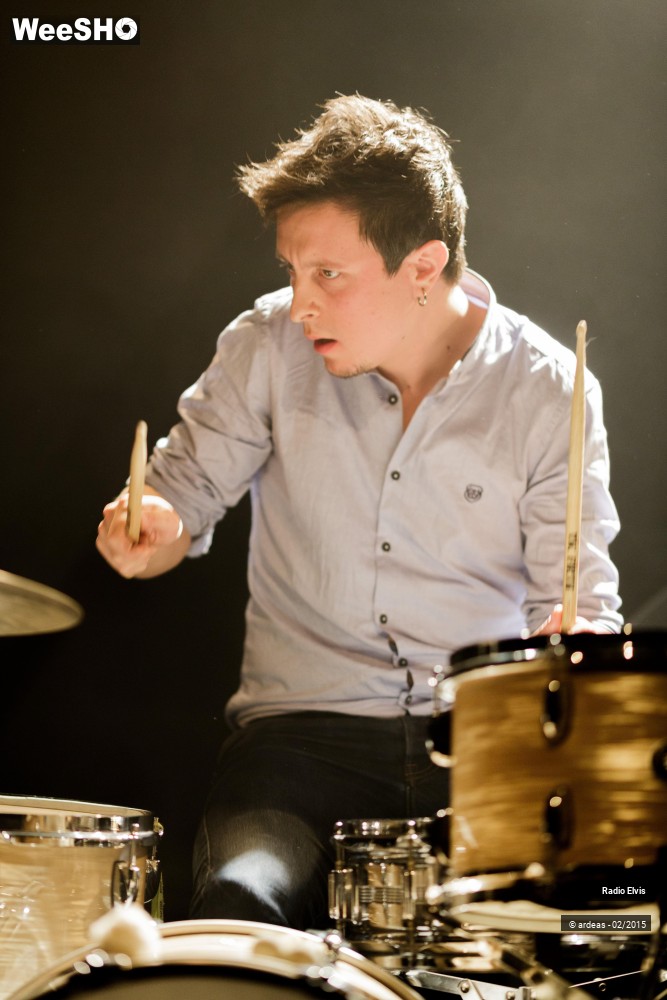 5/34 photos du spectacle Radio Elvis