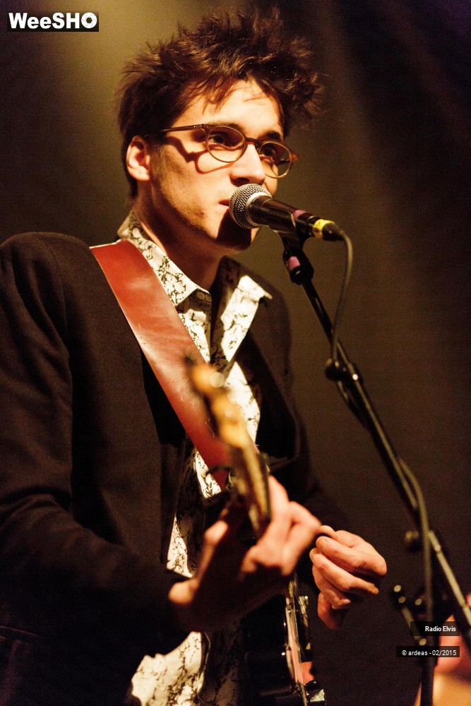 6/34 photos du spectacle Radio Elvis