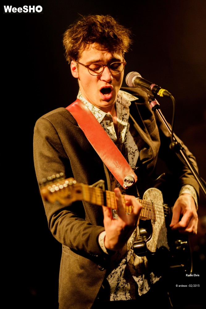 7/34 photos du spectacle Radio Elvis