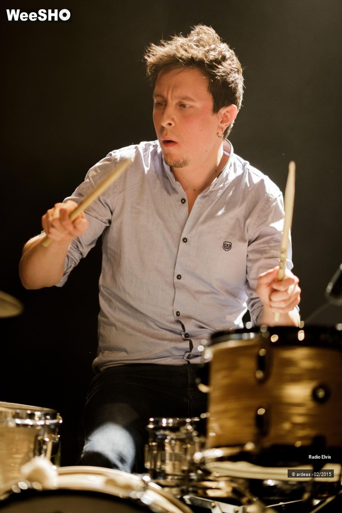 13/34 photos du spectacle Radio Elvis