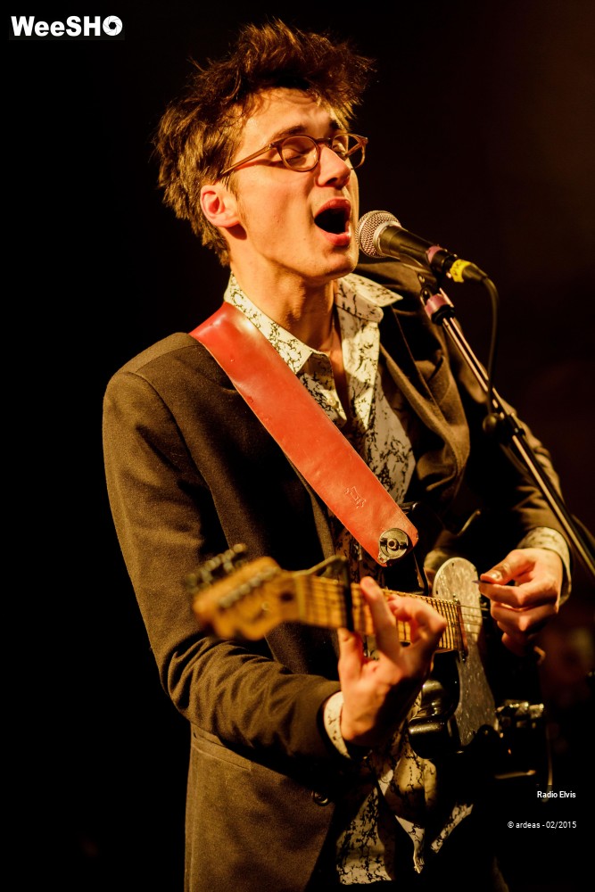 14/34 photos du spectacle Radio Elvis