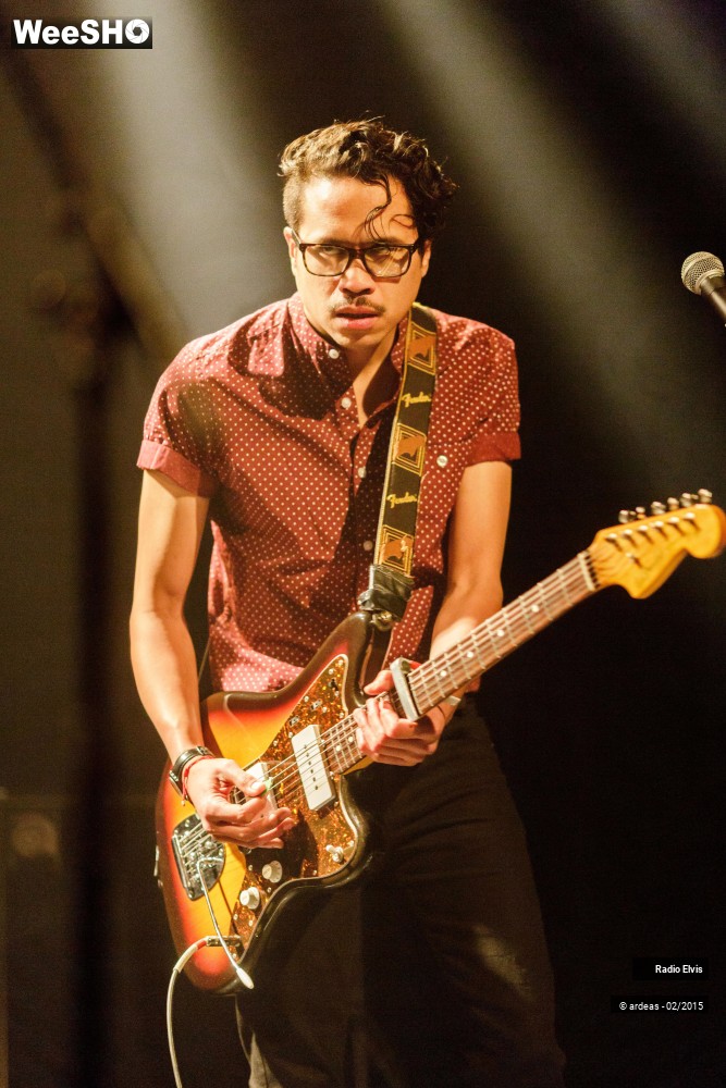 18/34 photos du spectacle Radio Elvis