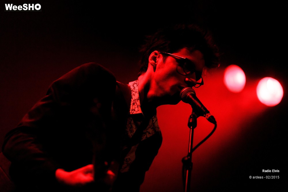 20/34 photos du spectacle Radio Elvis