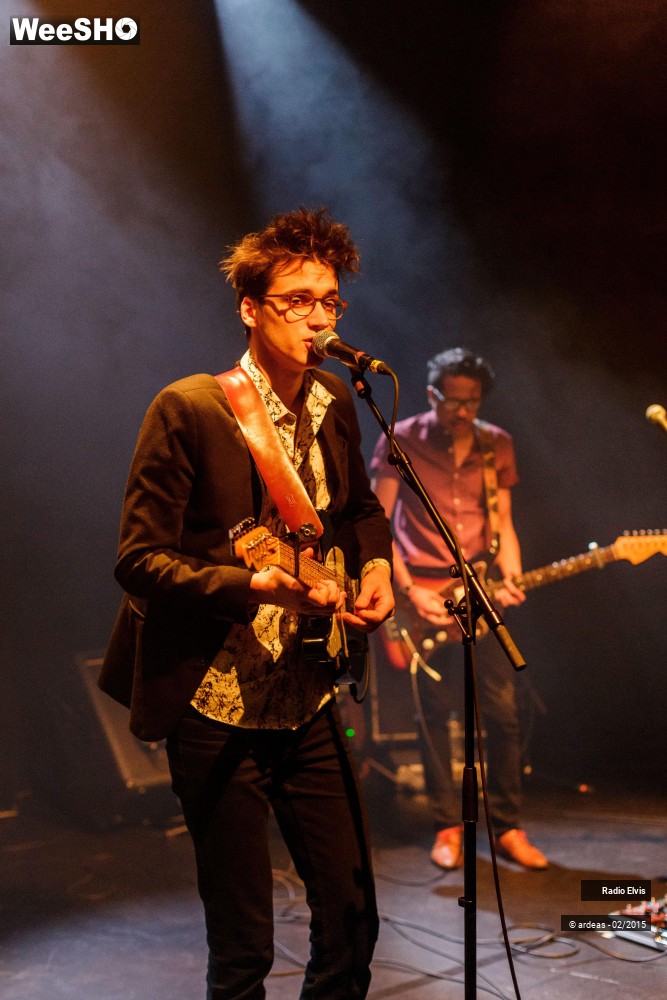 21/34 photos du spectacle Radio Elvis