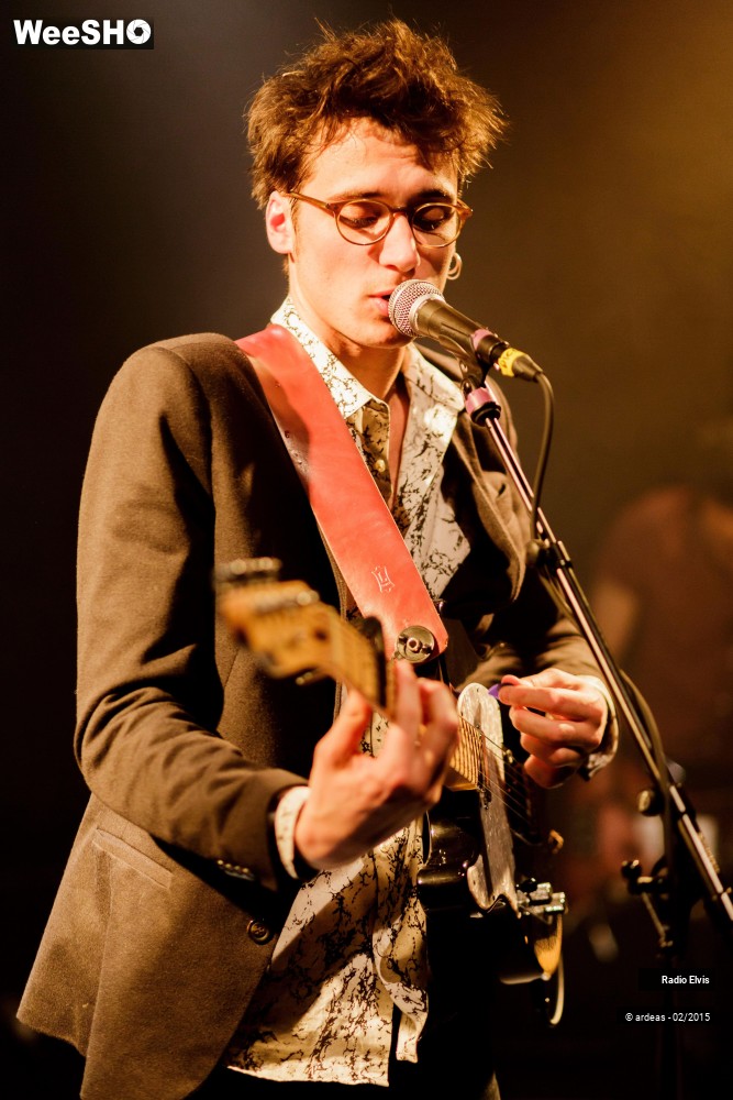 25/34 photos du spectacle Radio Elvis