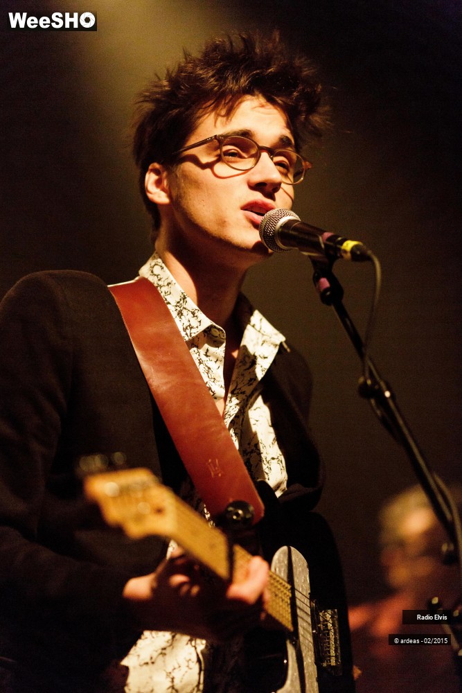 26/34 photos du spectacle Radio Elvis