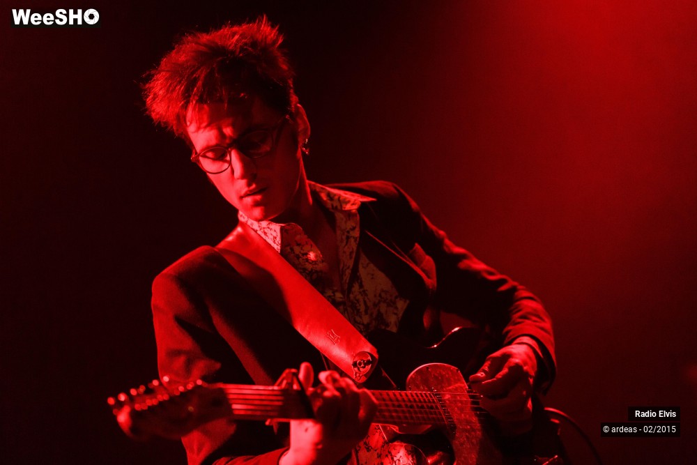 27/34 photos du spectacle Radio Elvis