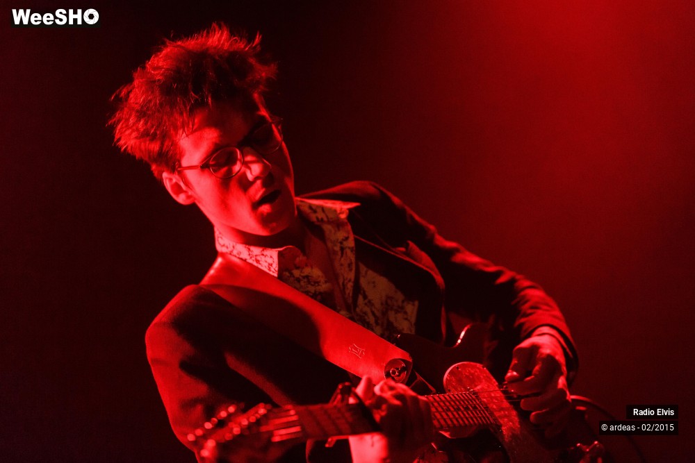 28/34 photos du spectacle Radio Elvis