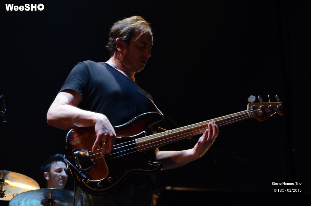 4/33 photos du spectacle Stevie Nimmo Trio 