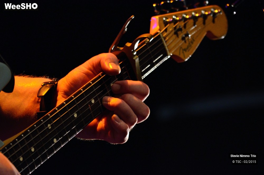 6/33 photos du spectacle Stevie Nimmo Trio 
