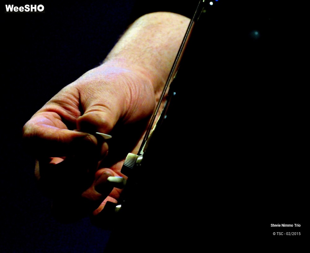 8/33 photos du spectacle Stevie Nimmo Trio 