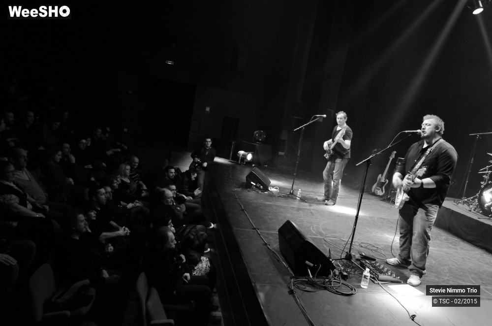 9/33 photos du spectacle Stevie Nimmo Trio 