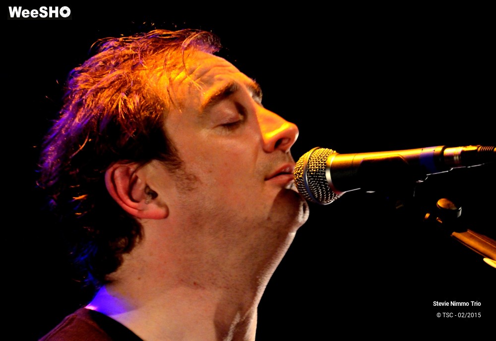 10/33 photos du spectacle Stevie Nimmo Trio 