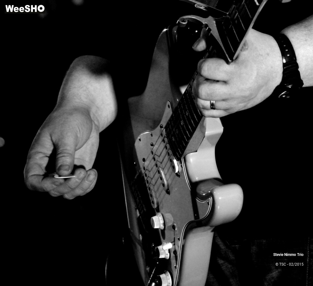 12/33 photos du spectacle Stevie Nimmo Trio 