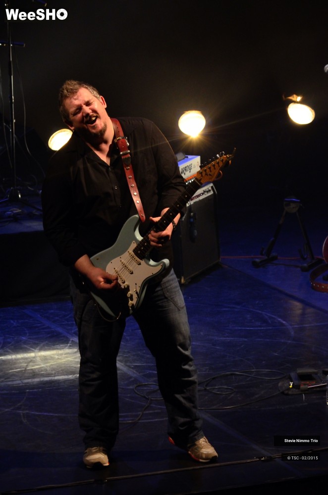 13/33 photos du spectacle Stevie Nimmo Trio 