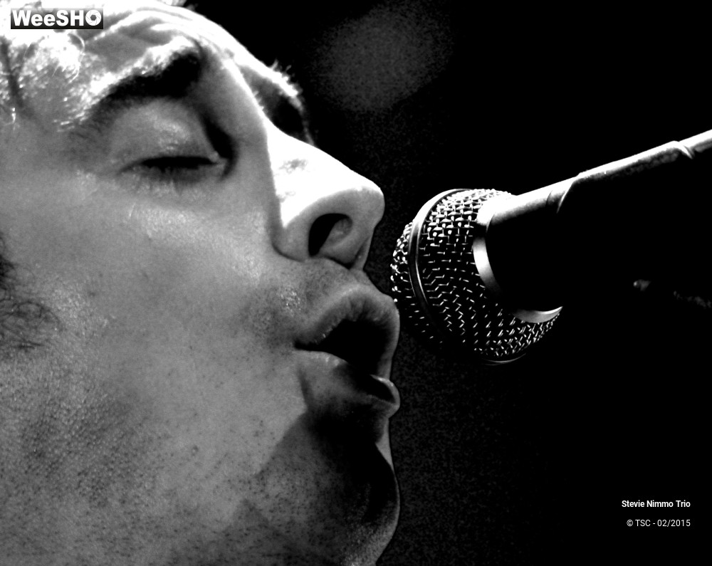 14/33 photos du spectacle Stevie Nimmo Trio 