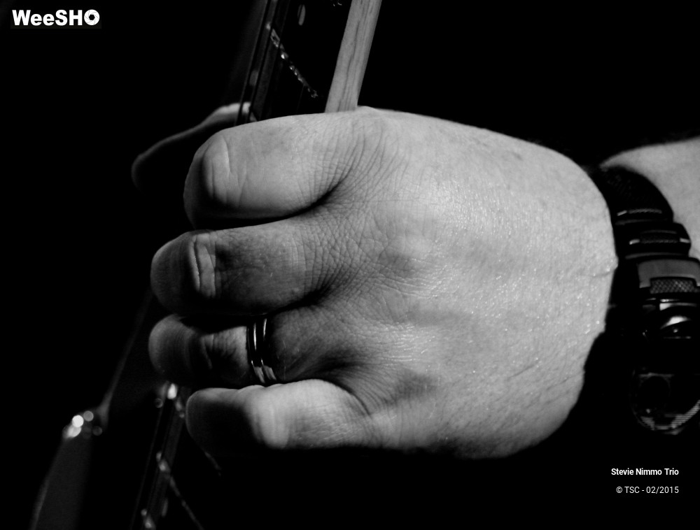 15/33 photos du spectacle Stevie Nimmo Trio 