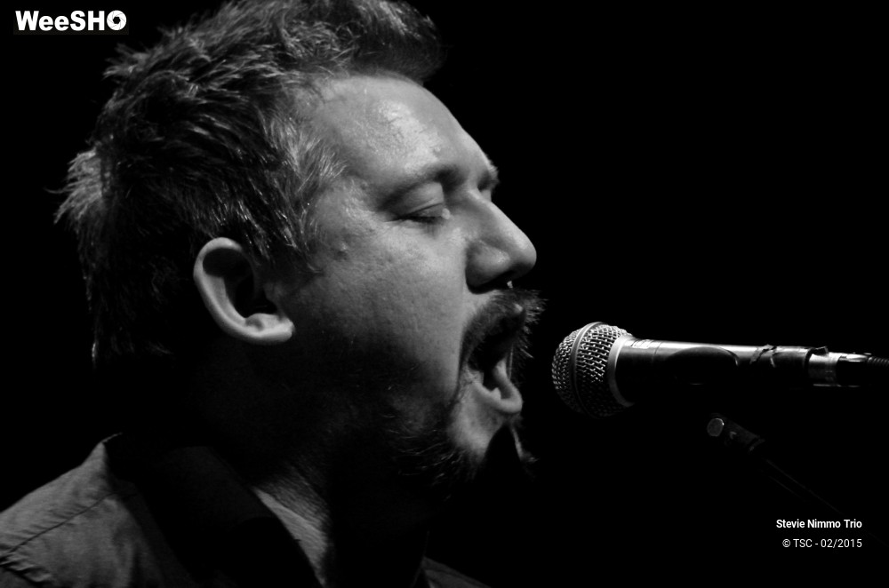 16/33 photos du spectacle Stevie Nimmo Trio 