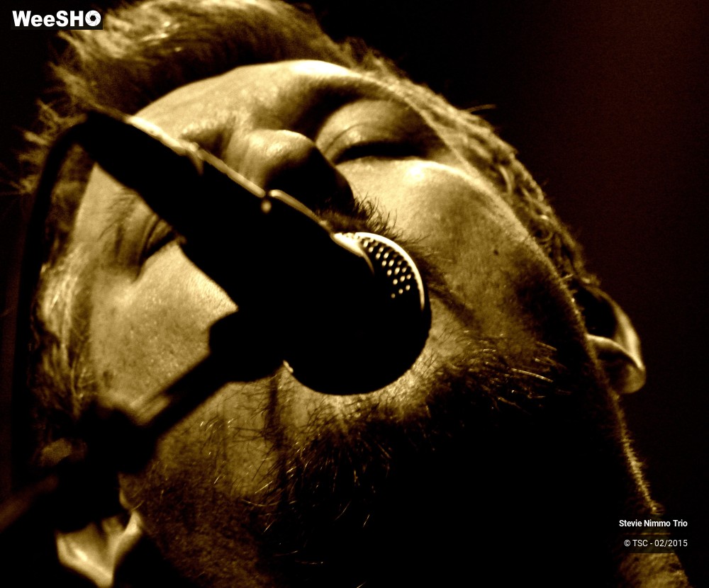 17/33 photos du spectacle Stevie Nimmo Trio 