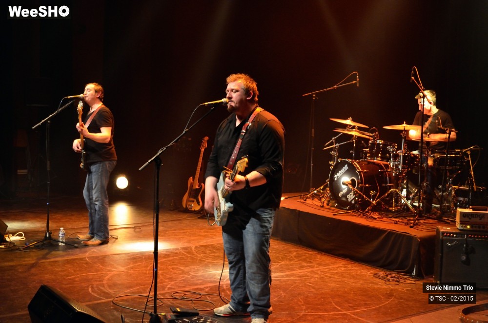 18/33 photos du spectacle Stevie Nimmo Trio 