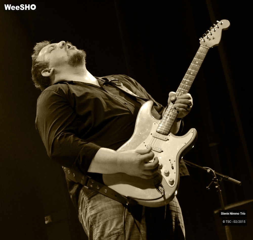 20/33 photos du spectacle Stevie Nimmo Trio 