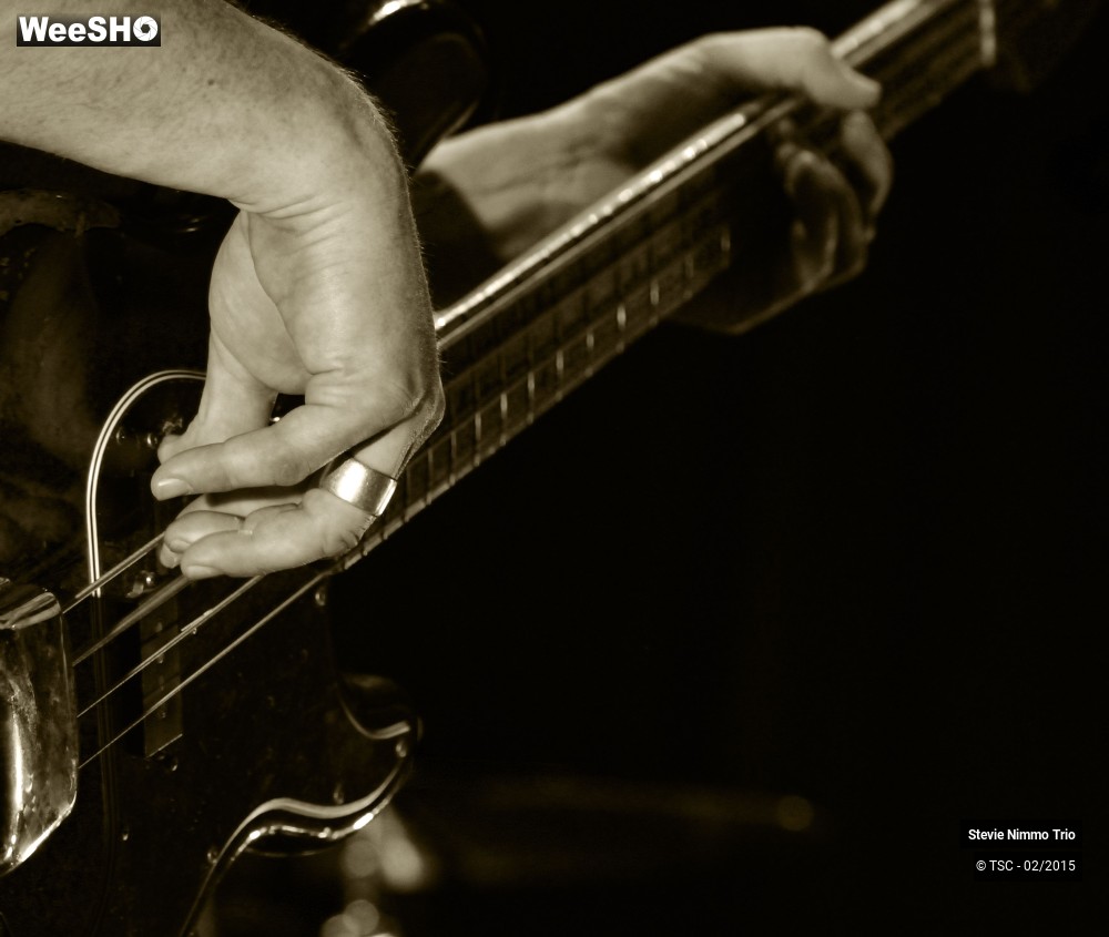 21/33 photos du spectacle Stevie Nimmo Trio 