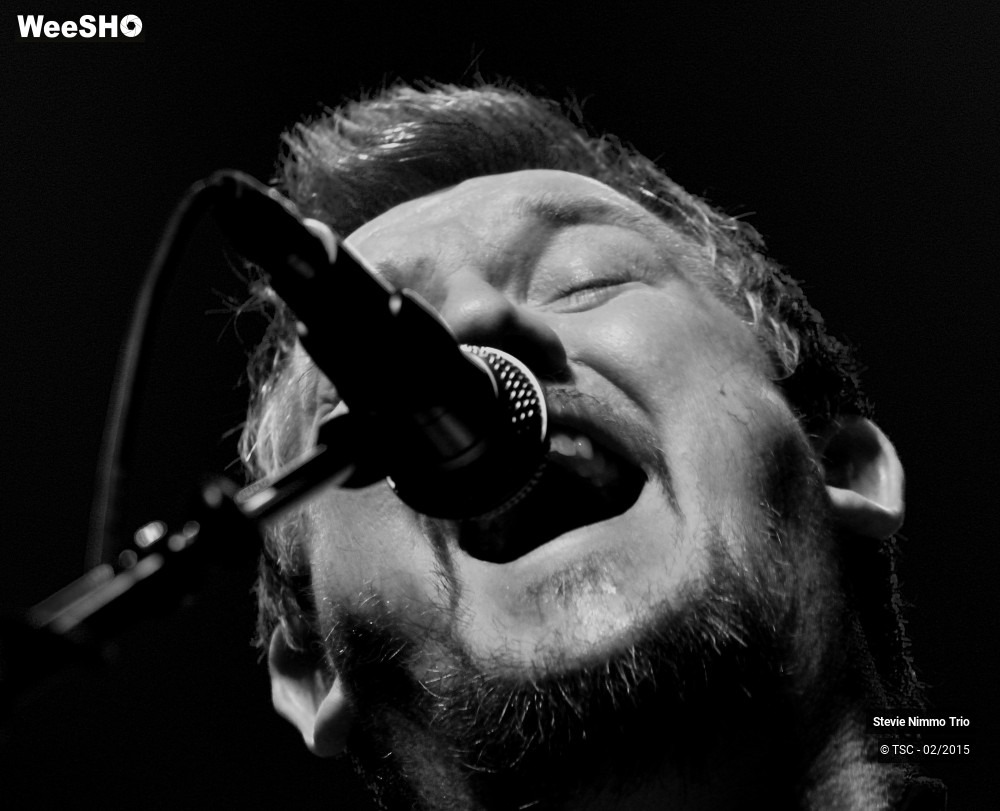 23/33 photos du spectacle Stevie Nimmo Trio 