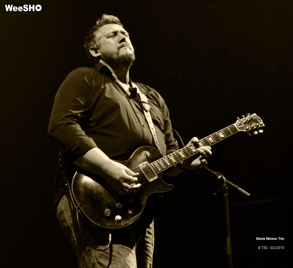 24/33 photos du spectacle Stevie Nimmo Trio 