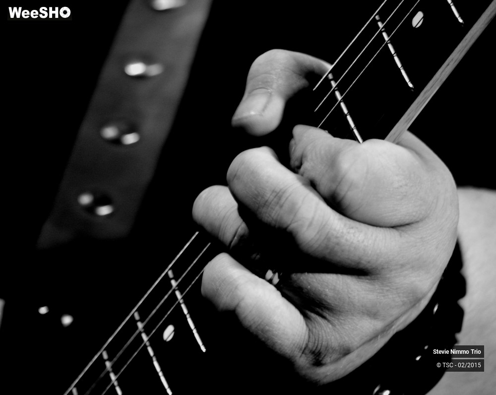 26/33 photos du spectacle Stevie Nimmo Trio 