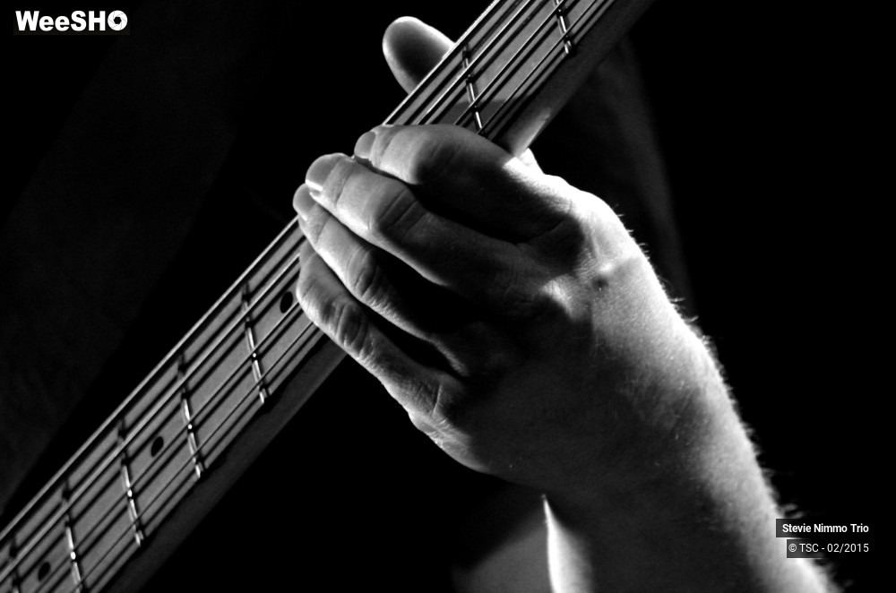 32/33 photos du spectacle Stevie Nimmo Trio 