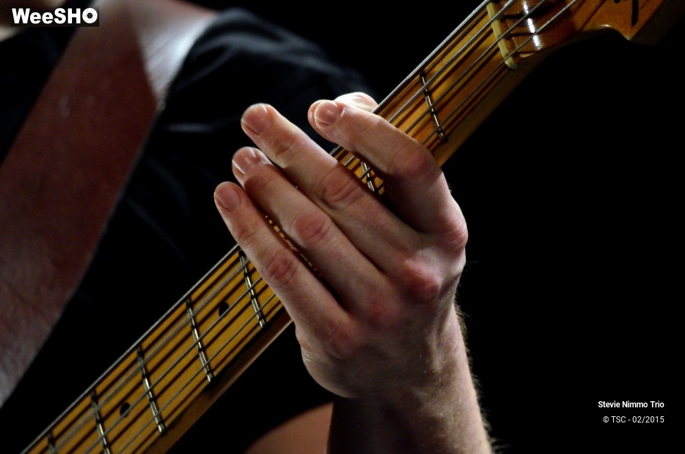 33/33 photos du spectacle Stevie Nimmo Trio 