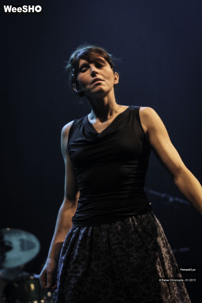 13/34 photos du spectacle Fernand Lys