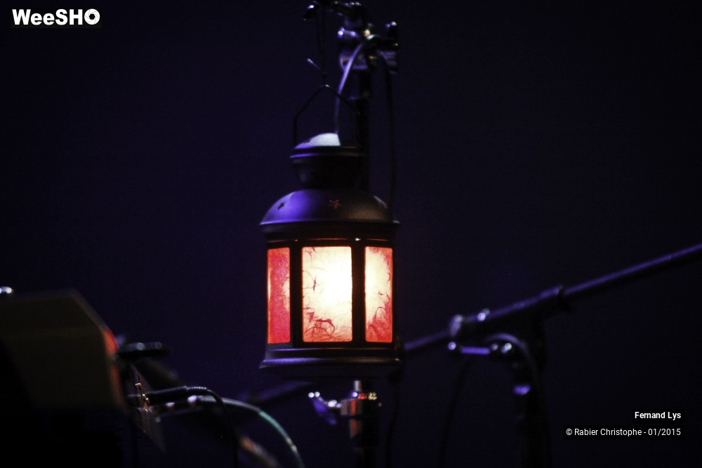 27/34 photos du spectacle Fernand Lys