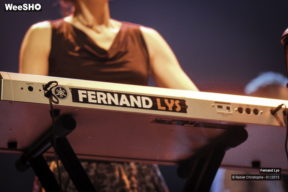 28/34 photos du spectacle Fernand Lys