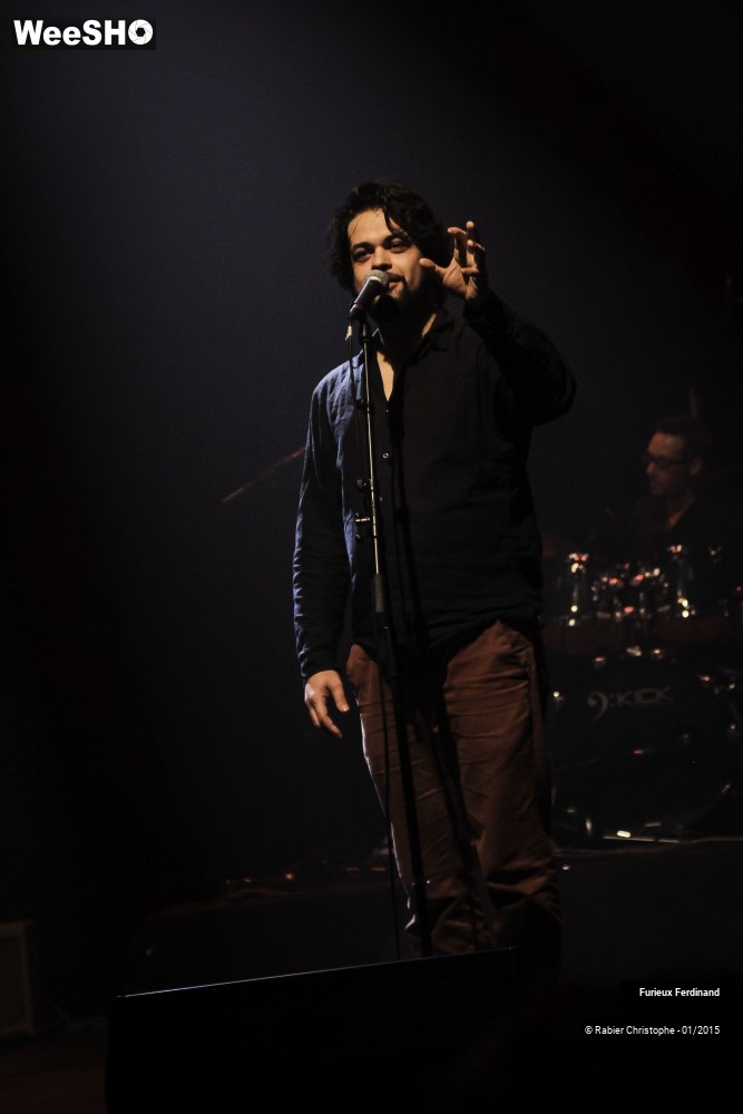 17/34 photos du spectacle Furieux Ferdinand