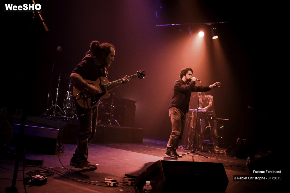 22/34 photos du spectacle Furieux Ferdinand