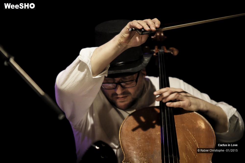 2/51 photos du spectacle Cactus in Love