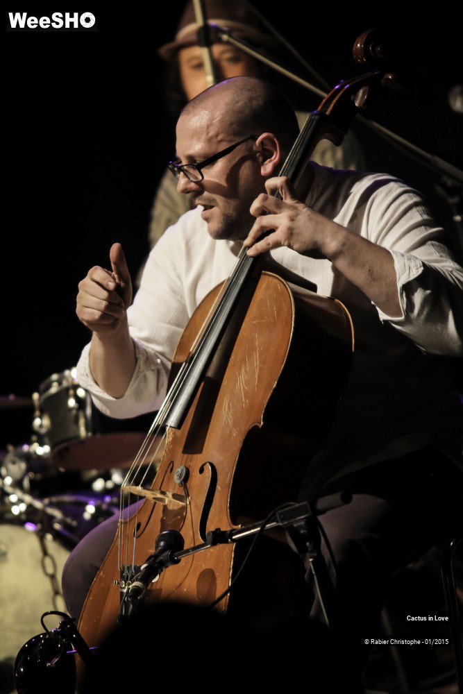 7/51 photos du spectacle Cactus in Love