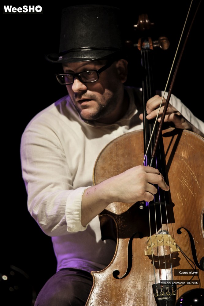 8/51 photos du spectacle Cactus in Love