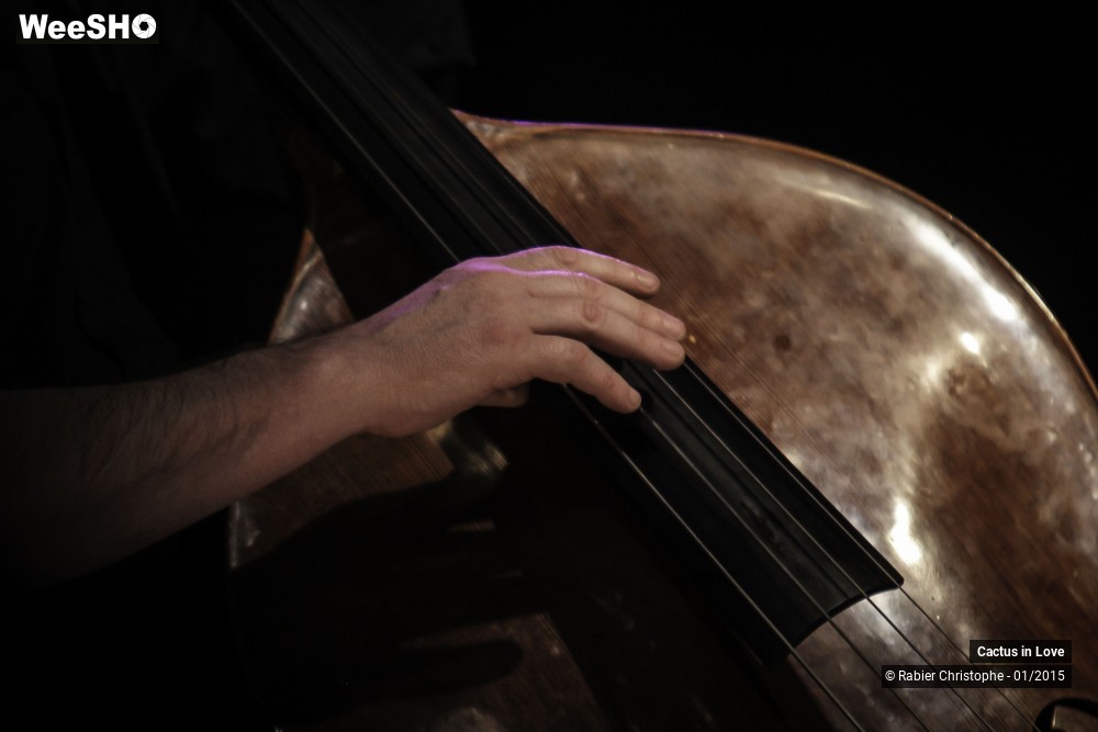 9/51 photos du spectacle Cactus in Love