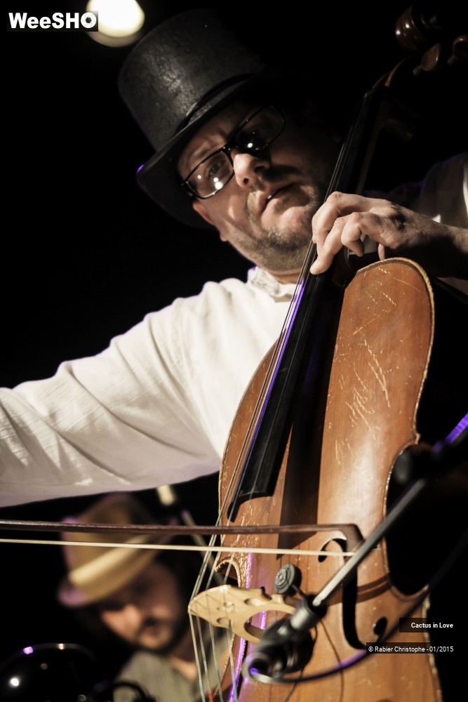 10/51 photos du spectacle Cactus in Love