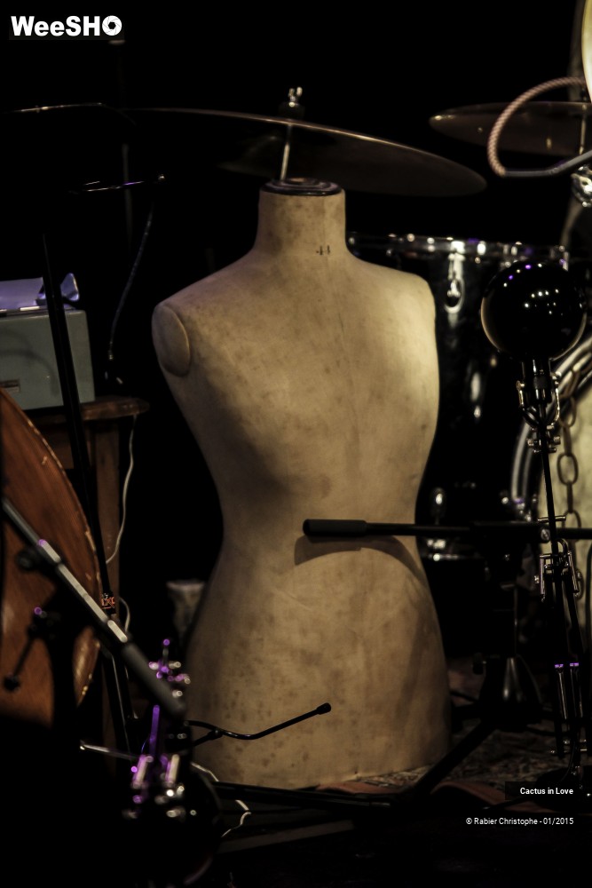 16/51 photos du spectacle Cactus in Love