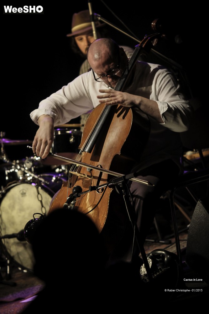 18/51 photos du spectacle Cactus in Love