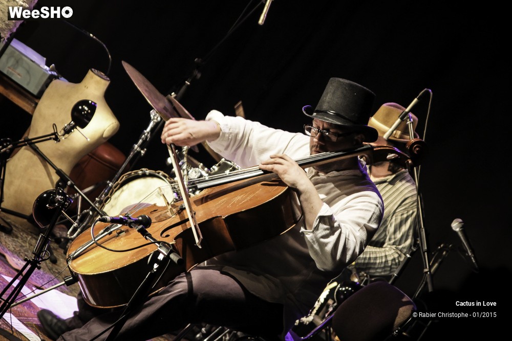 19/51 photos du spectacle Cactus in Love