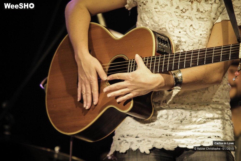 21/51 photos du spectacle Cactus in Love