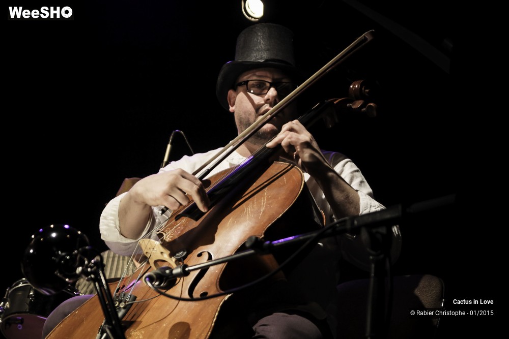 25/51 photos du spectacle Cactus in Love