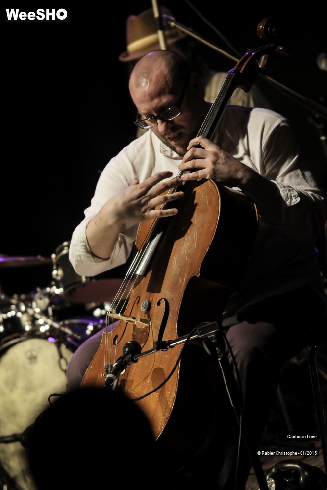 26/51 photos du spectacle Cactus in Love